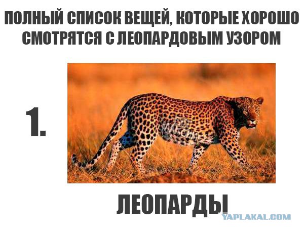 Немного деграданса - 5