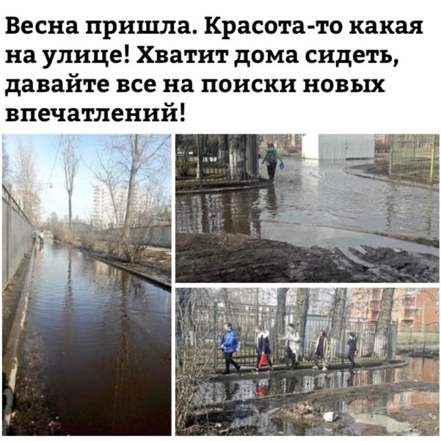 Нестандартный юмор