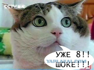 Внимание! На ЯПе КОТОВТОРНИК. 23.09.08.