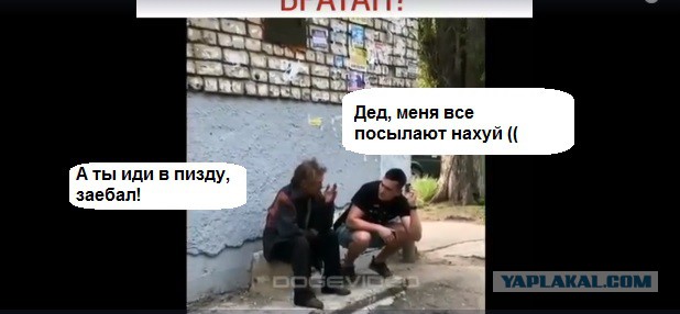 Когда новорег пытается запостить сопли на ЯПе