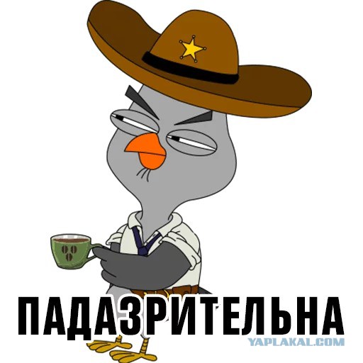 А вот и извинения Кадырову подъехали