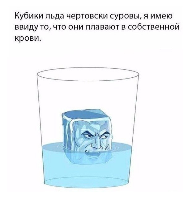 Стандартный адекватный юмор в картинках для всех