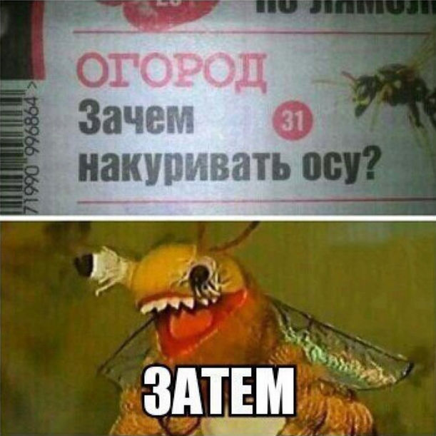 Пьяница гусак - горе в семье