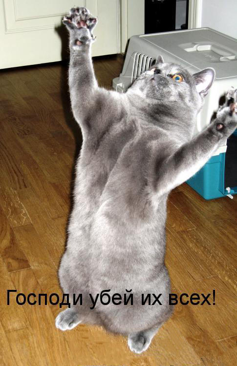 Разные по свежести картинки