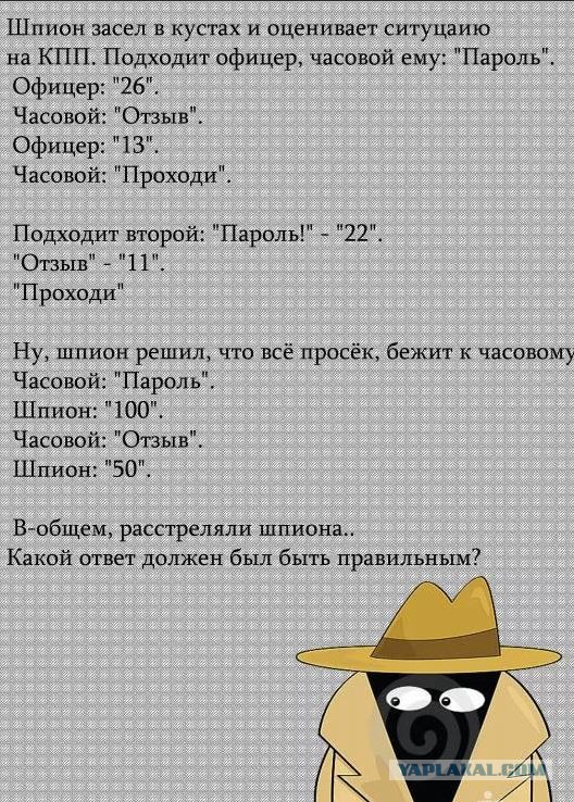 Вопросы для шпиона примеры