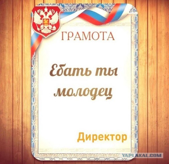 Сезонный навес