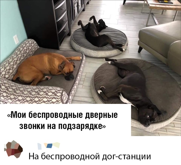 Картинки с надписями, истории и анекдоты 04.10.19