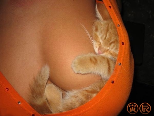 Аватары на заказ