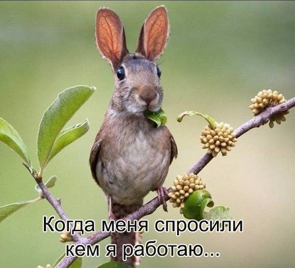 Бредзона 05.02.2020
