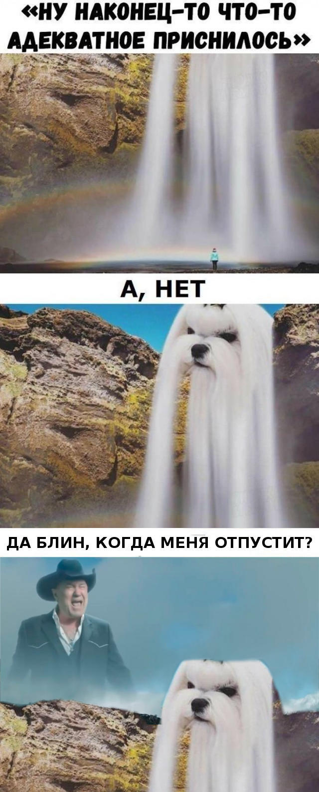 Немного картинок для настроения 10.02.20