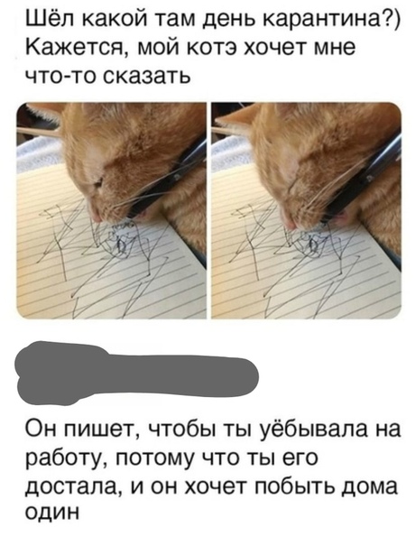 Немного картинок для настроения 02.05.20