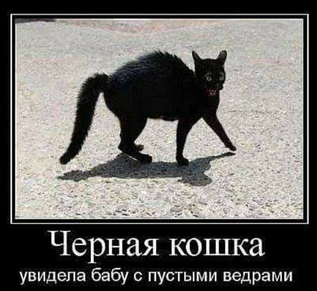 Немного картинок для настроения 13.05.20