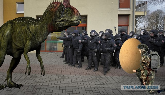 Фотожаба: Перцовка