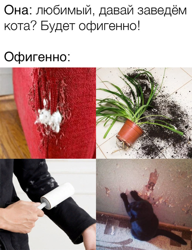 Весёлый полтишок 5.03