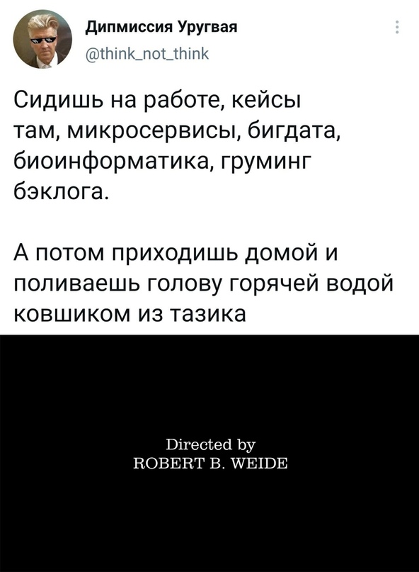 Весёлый полтишок 21.05