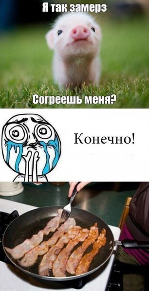 4 причины, почему женщины взяли в моду жаловаться на отсутствие достойных мужчин