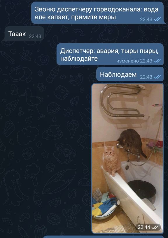 Картинки и мемы, всем прекрасных выходных