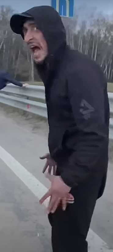 Стальные Джунгли подвезли экшен с обочины