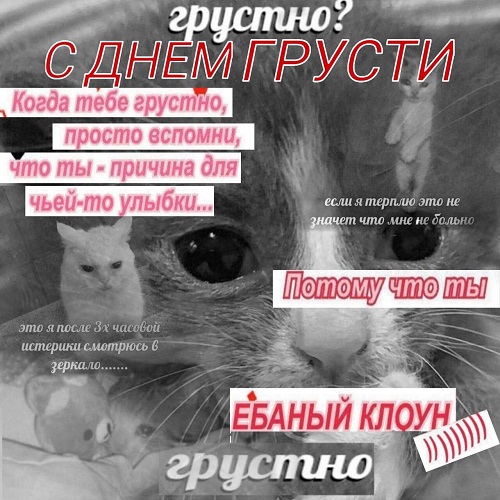 Так себе картинки 13.07.22