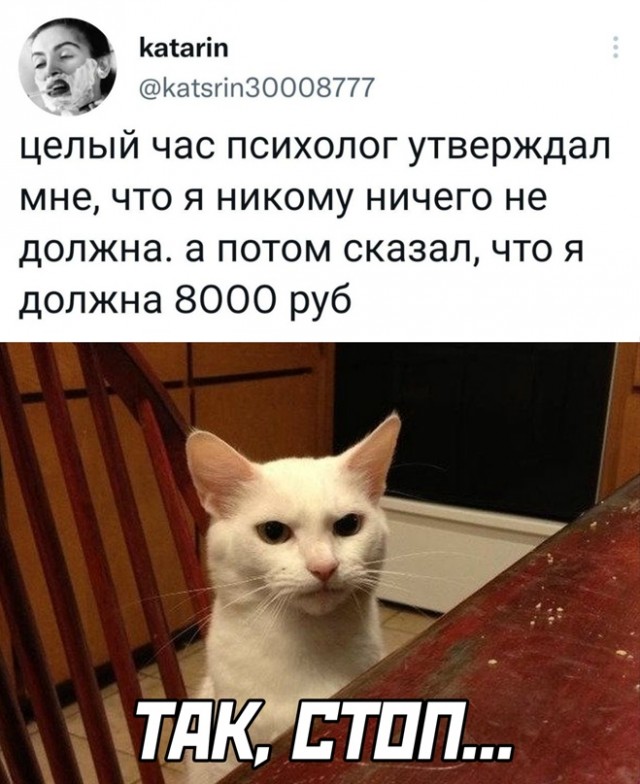 Картинки и мемы для настроения - 27