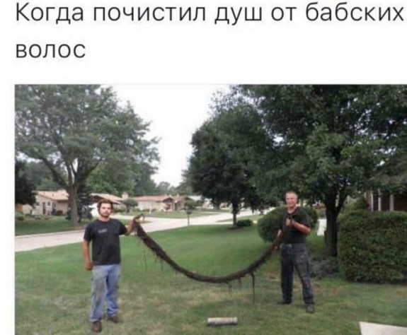 Весёлый полтишок 18.08.22