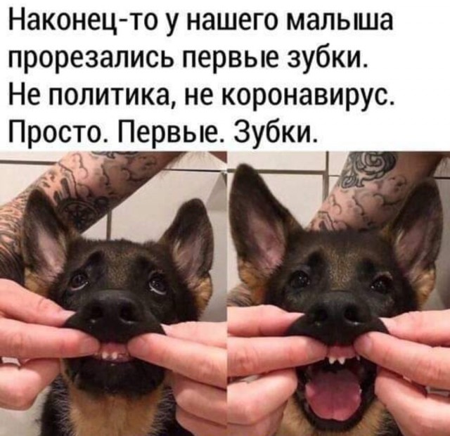 Картинки и мемы. Выходные близко...