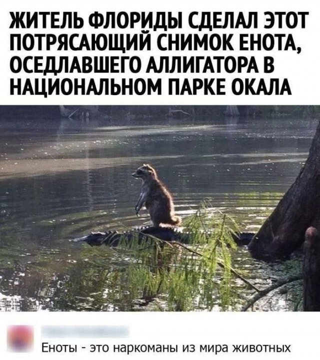 Картинки и мемы для настроения - 133