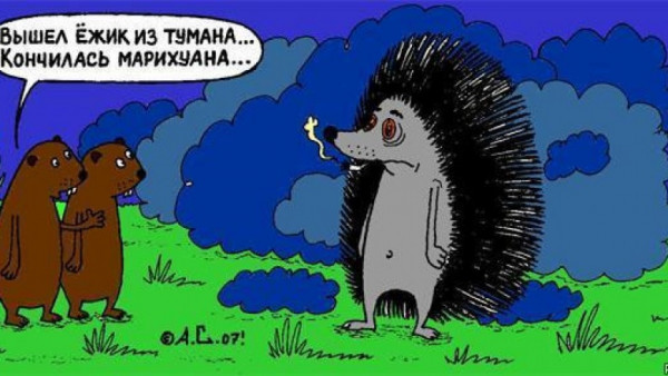 Прикольные и просто красивые картинки 23.12.2022