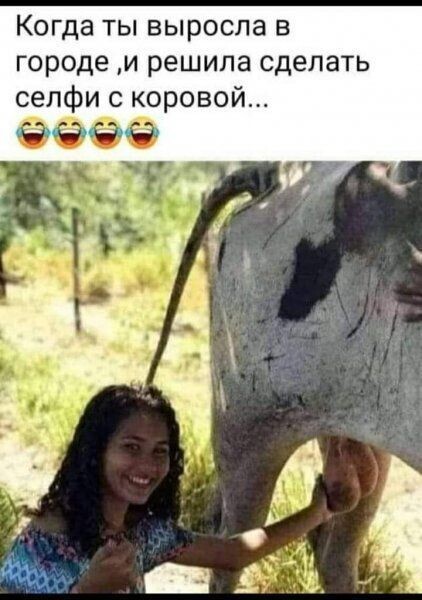 Юмор в картинках и без 21.02.2023