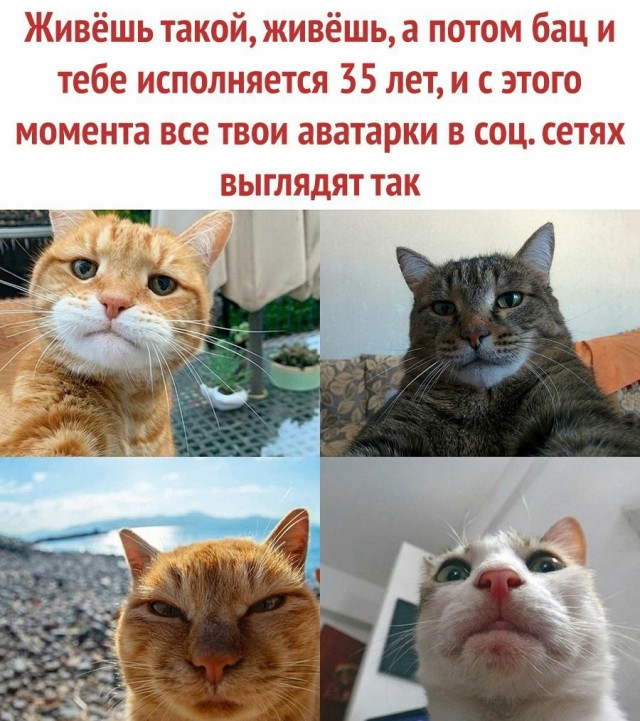 Всем хороших выходных - картинки и т.п.