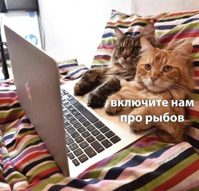 Картинки и мемы, всяко - 169