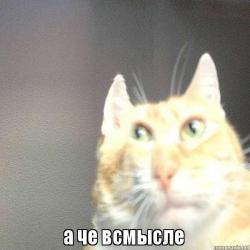 Так были они на Луне, или как?