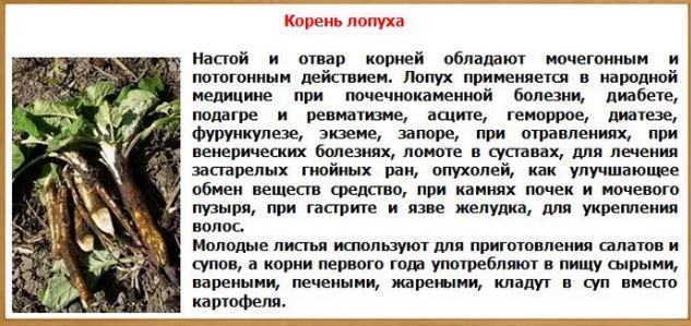 Демократия в опасности!