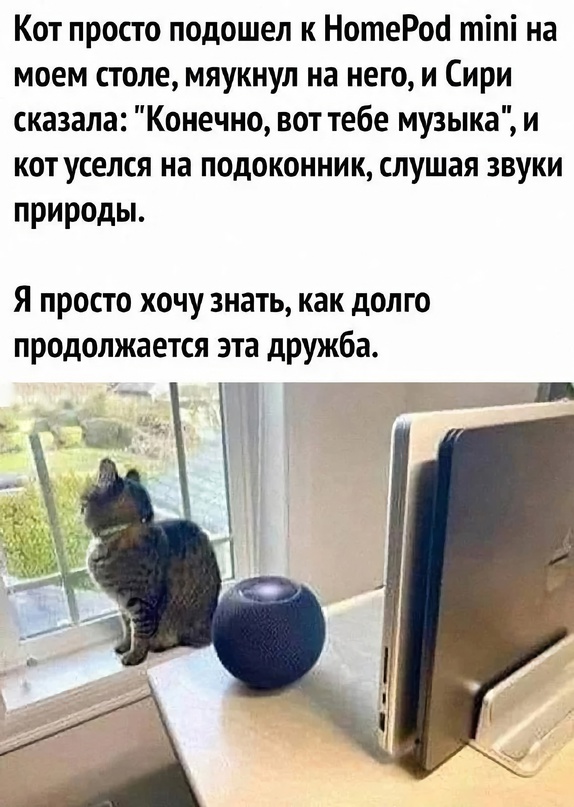 Пятничная скупка краденого из сети 11.08.2023