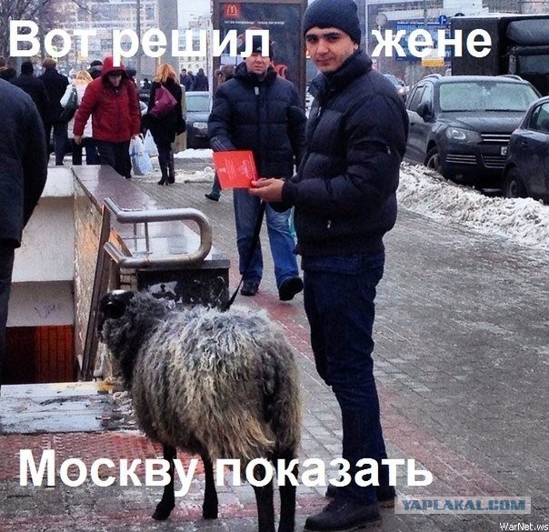 Сверхсекретное ночное задание