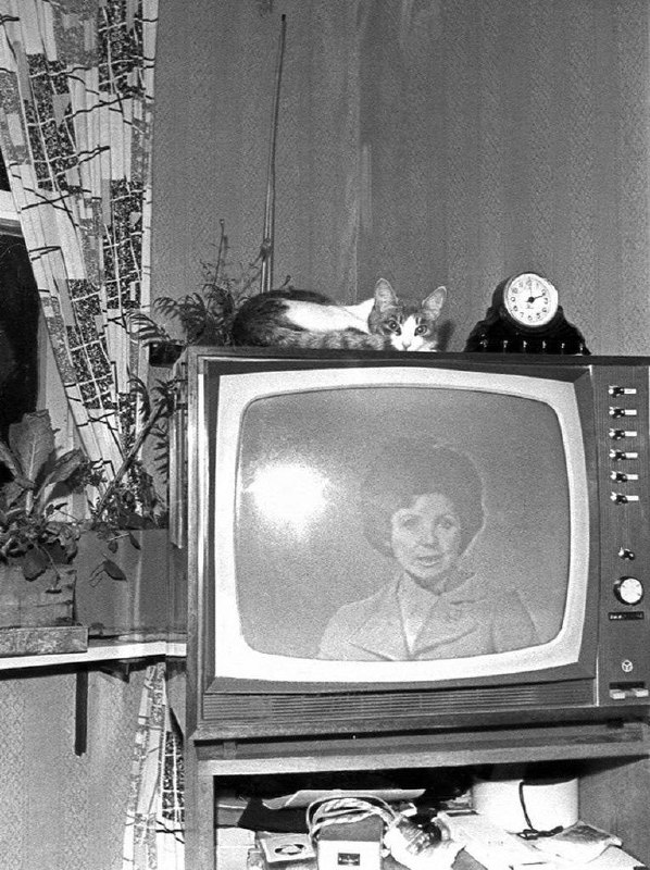 Фотографии из прошлого нашей страны - 51