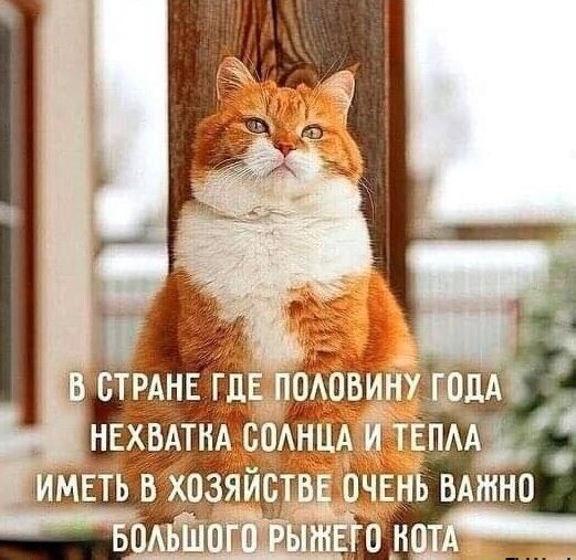 Так себе картинки 18.04.24