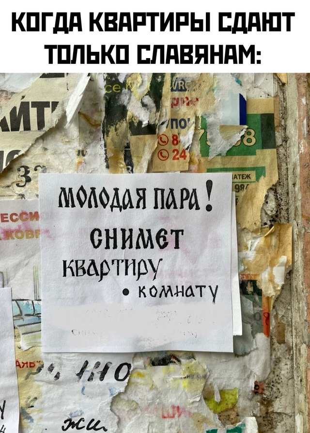 Весёлый полтишок 02.07.24