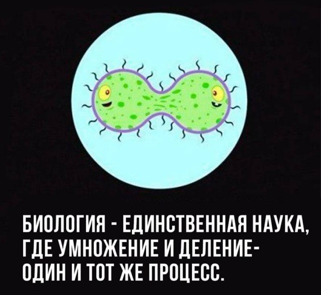 Сборник бабаянов или неожиданная помойка от Неждалигады