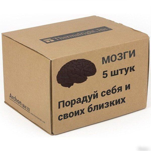 «Полный портфель бабла, и мы с пушкой».