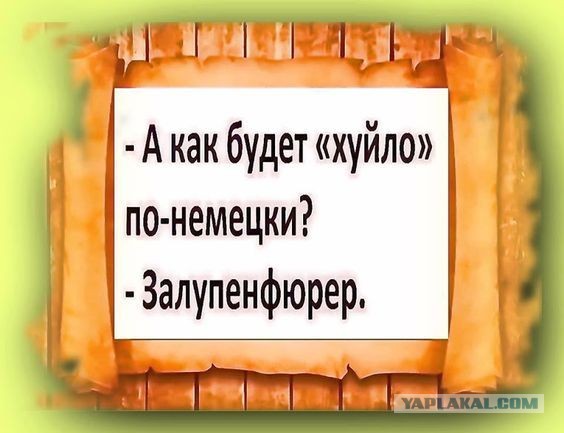 Так себе картинки 09.02.25