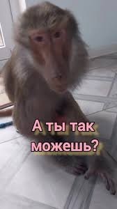 Разгрузка автомата