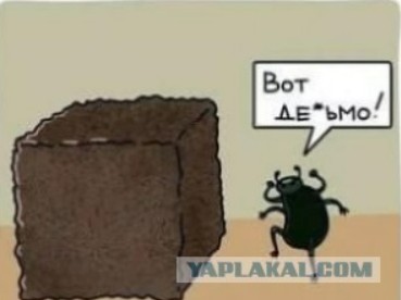 Литературный конкурс "КОКОС" 2025