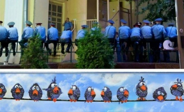 Картинки с надписями...