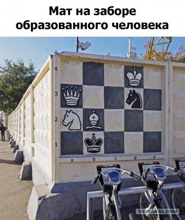 Веселые картинки в пятницу (17.10)