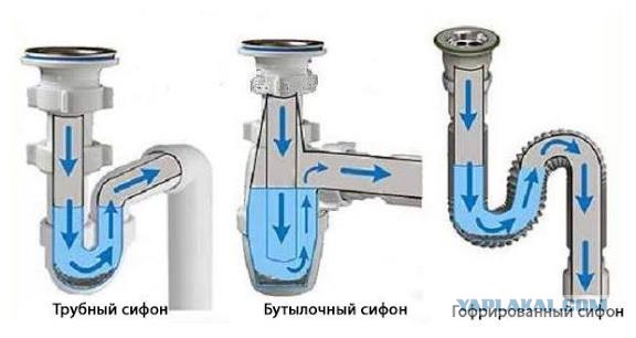 Ухожу из дома - лью подсолнечное масло в раковину, душ и унитаз