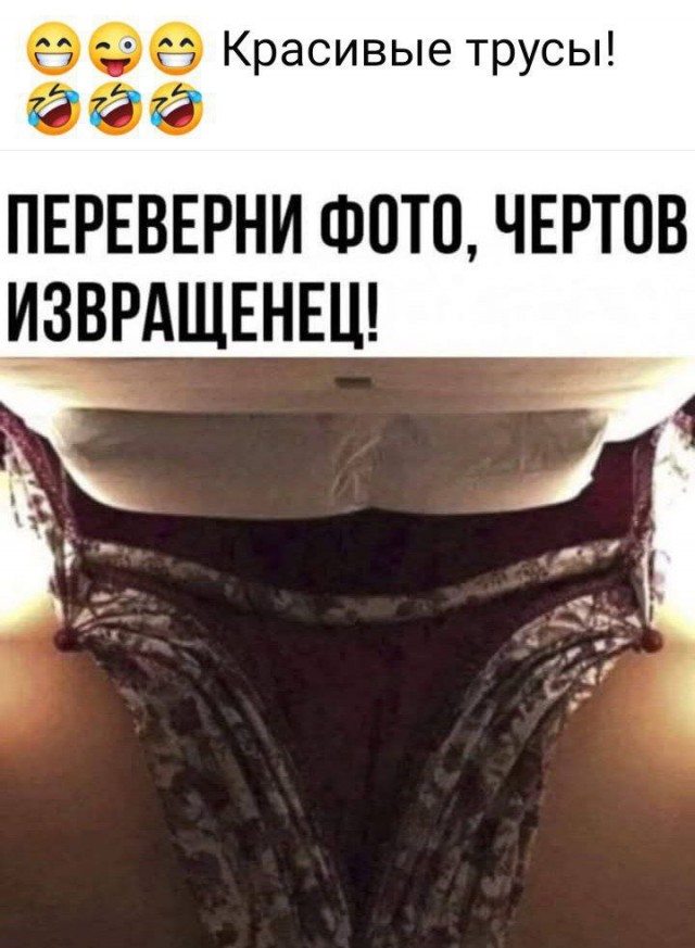 Забавные и не очень скромные картинки - 16
