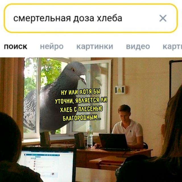Картинки для деградации 120 (разной степени свежести)