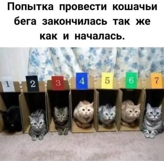 Воскресные картинки