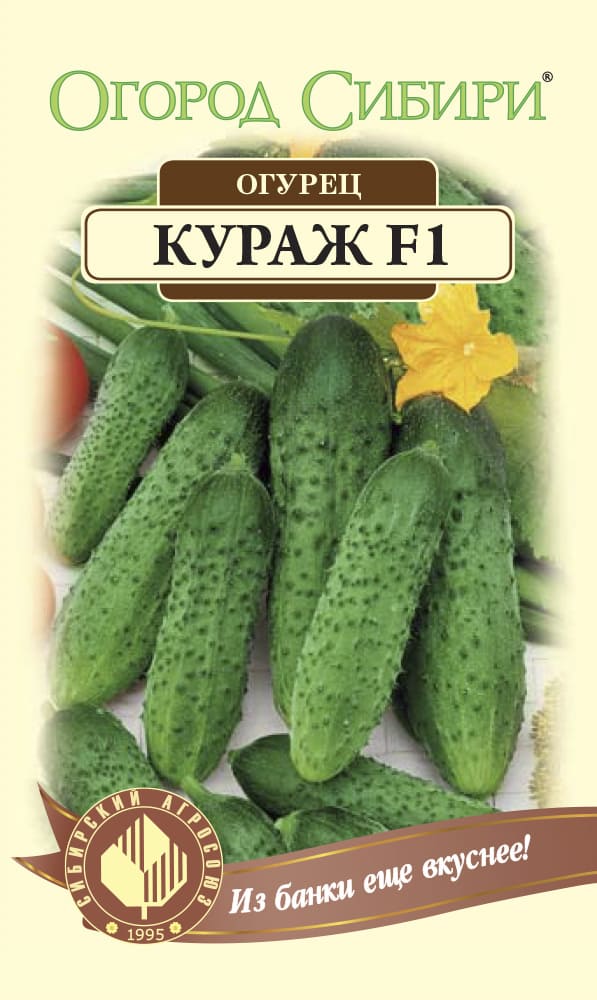 Какие самые "живучие" сорта огурцов?